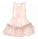 Valentine -Girls Pale Blush Pink Tulle Dress