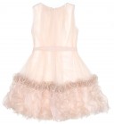 Valentine -Girls Pale Blush Pink Tulle Dress