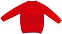 Boys Red Dog Sweater & Grey Glen Plaid Shorts Set